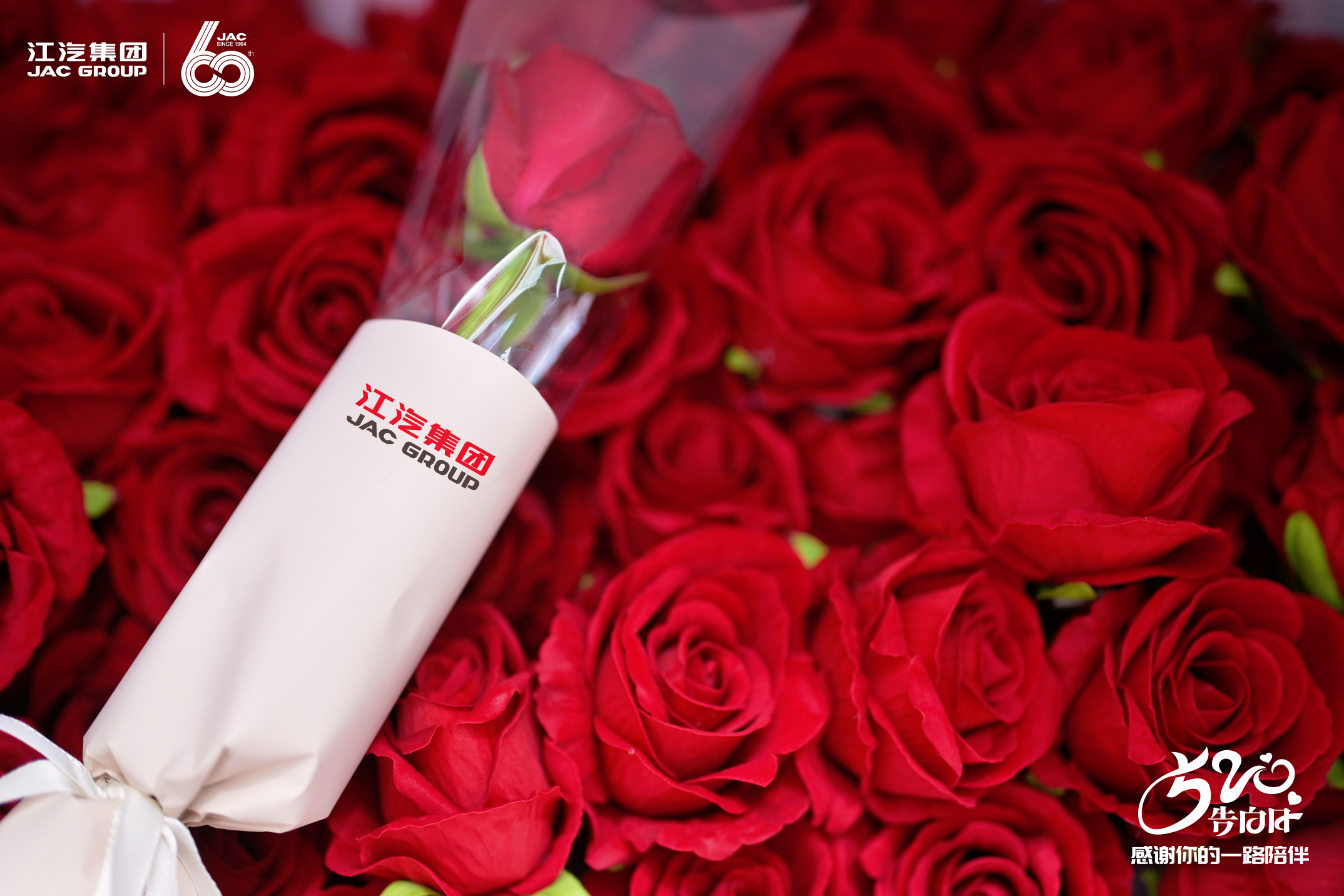 中国·388vip太阳集团