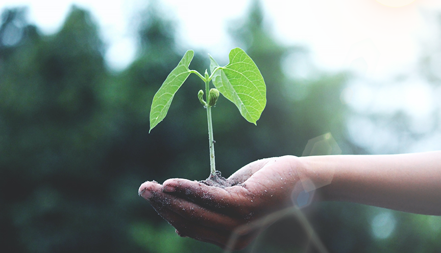 中国·388vip太阳集团